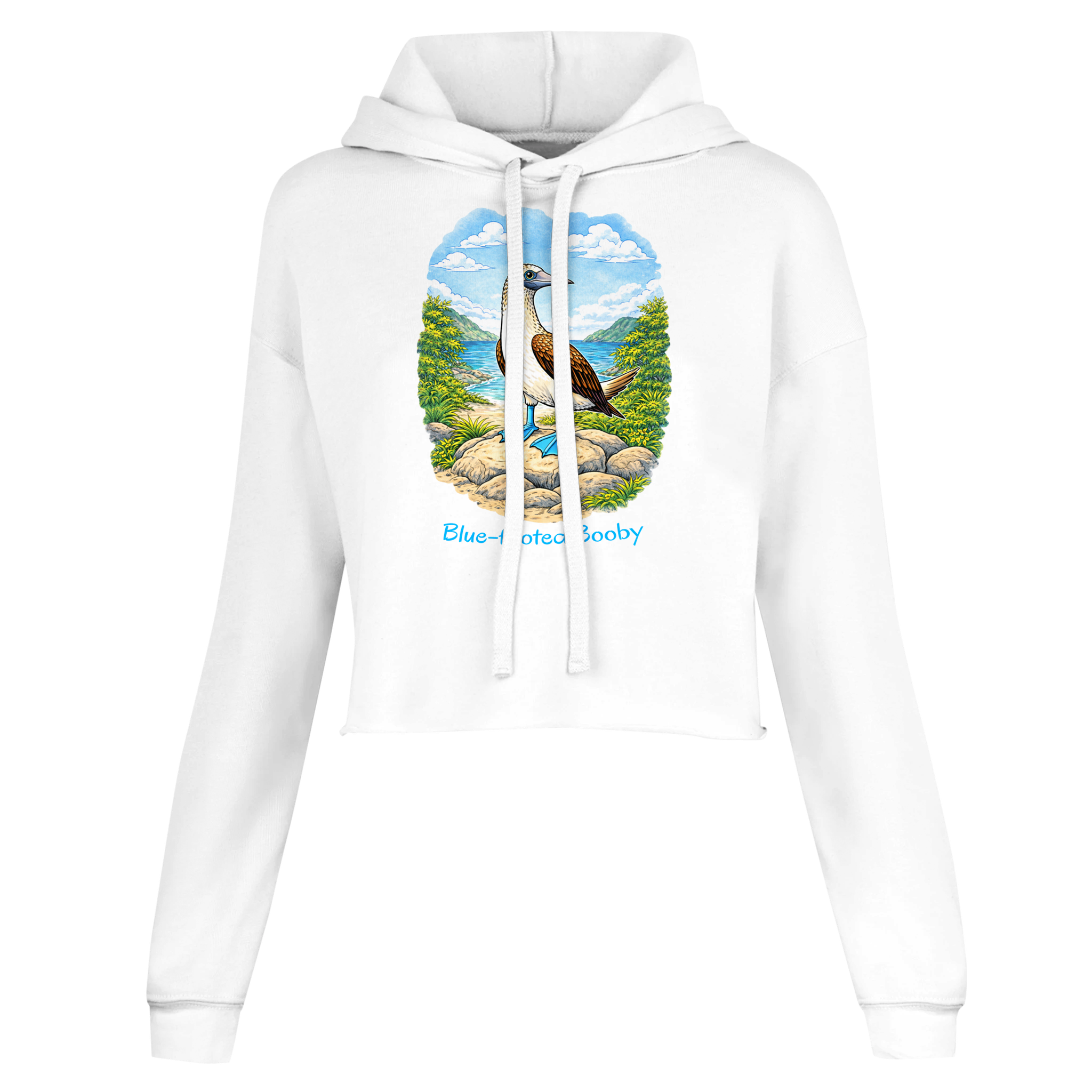 02d1161f-e005-4534-91fb-ce71d3c7762a