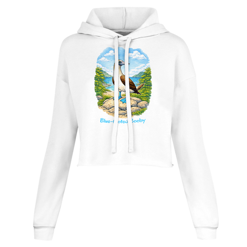 02d1161f-e005-4534-91fb-ce71d3c7762a