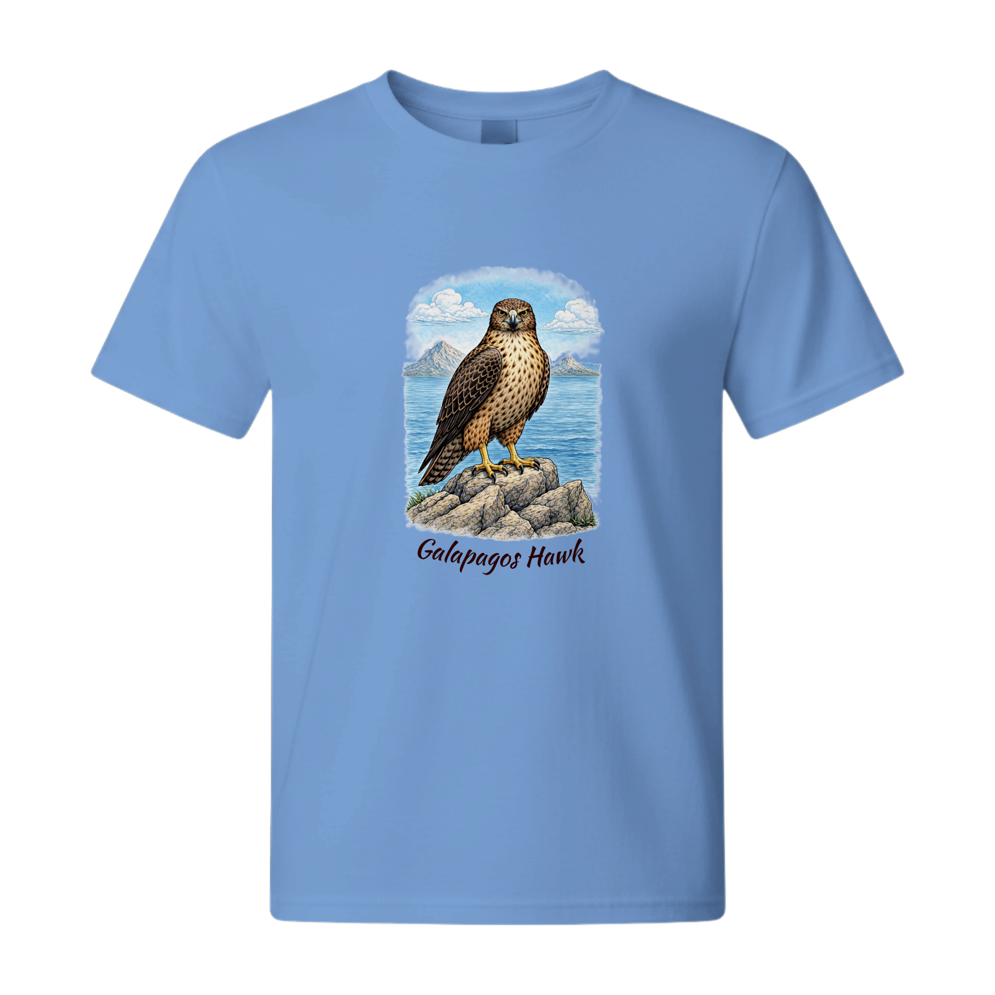 27ff824e-67c7-491c-ac08-bef48c00e308