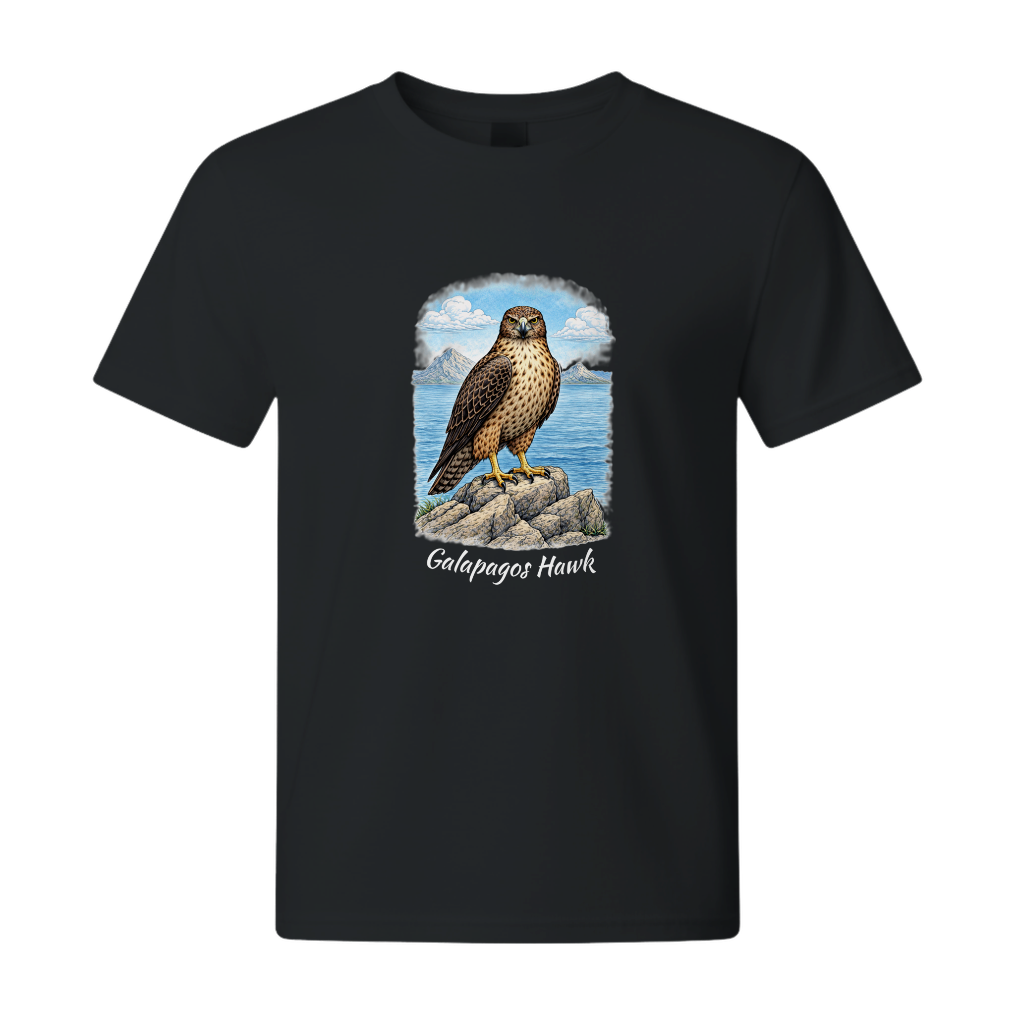 41e8465f-5a01-4968-a7a6-2b2f87ca5cb4