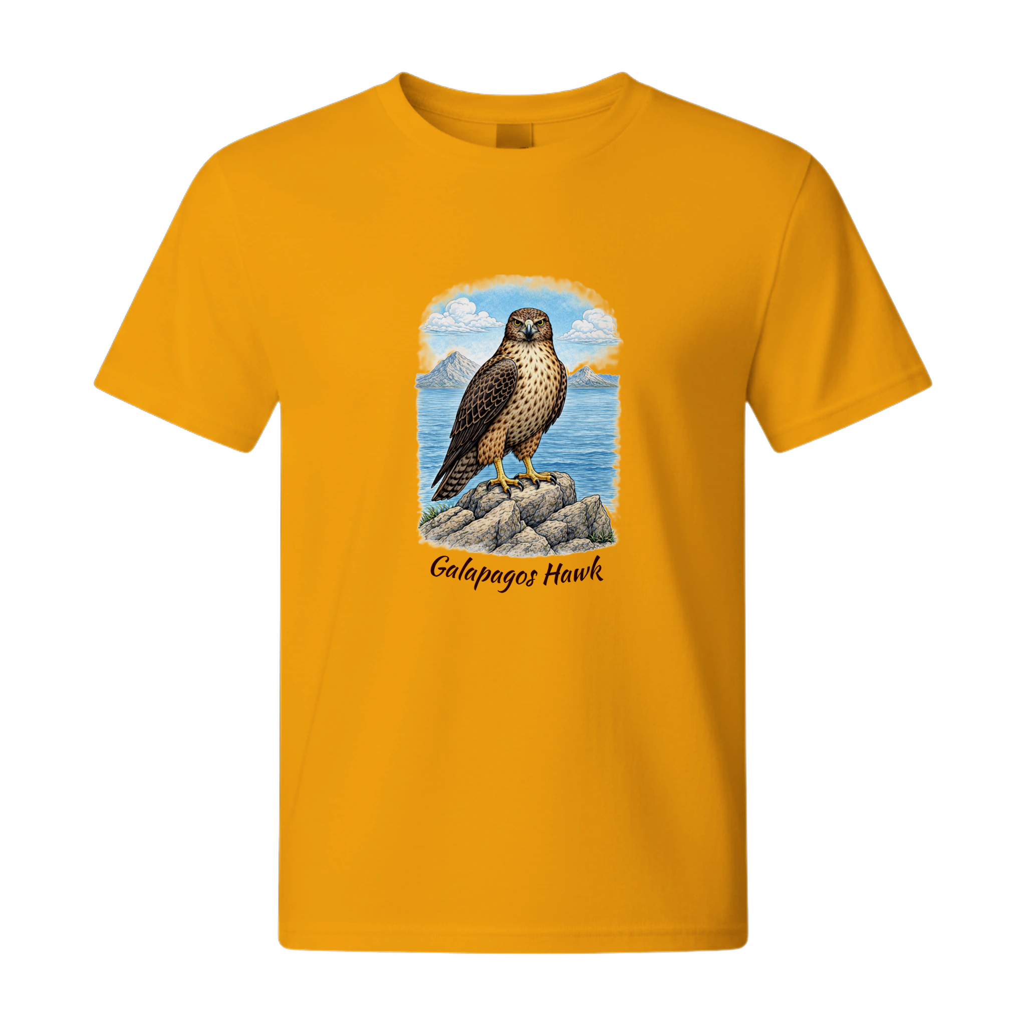 56e5f581-ff79-4310-99ed-e2a0f54bd8d0