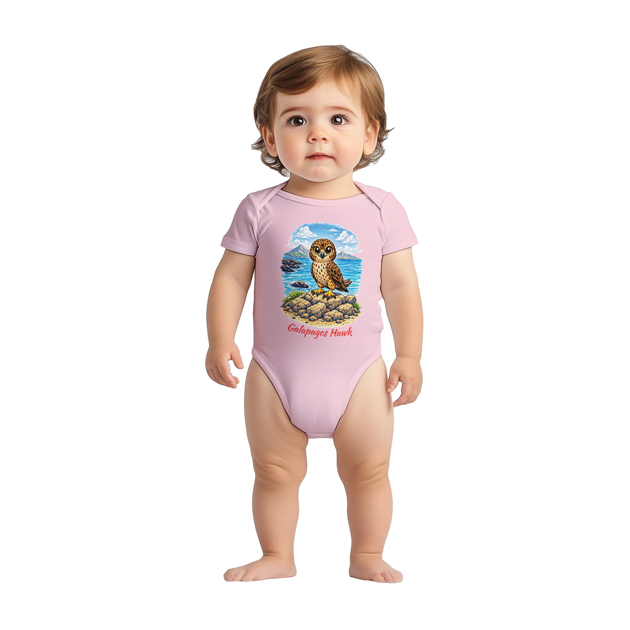 ffbd987a-7446-4bb9-93e3-a7f77041568c